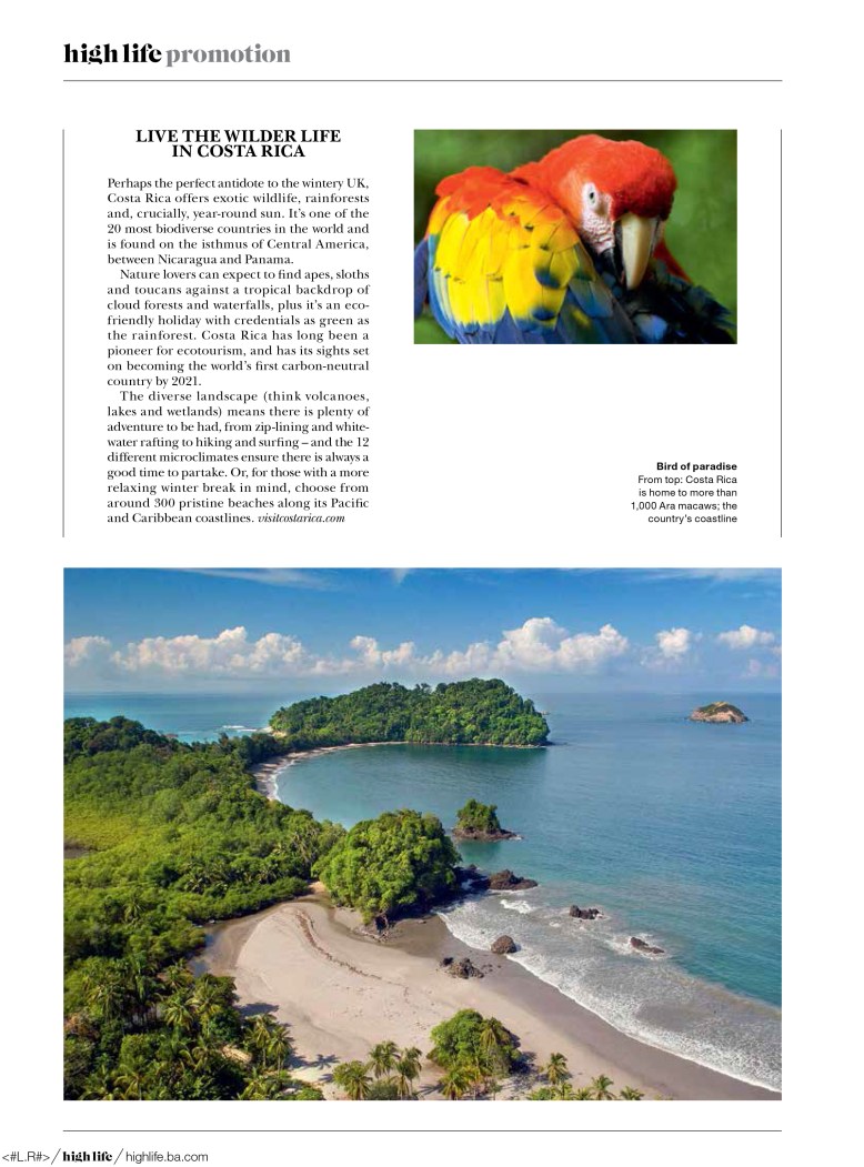 1b-ba-high-life-winter-sun-3